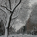 DC Snowfall